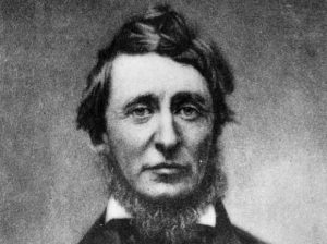 henry-david-thoreau